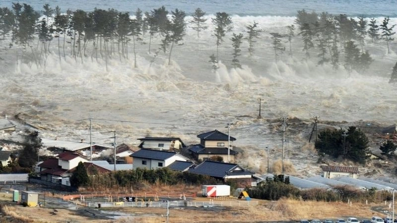 Sóng thần có thể bắt nguồn từ sóng do bão dữ dội