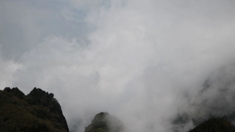 Sương khói là sự kết hợp của ô nhiễm và sương mù tự nhiên