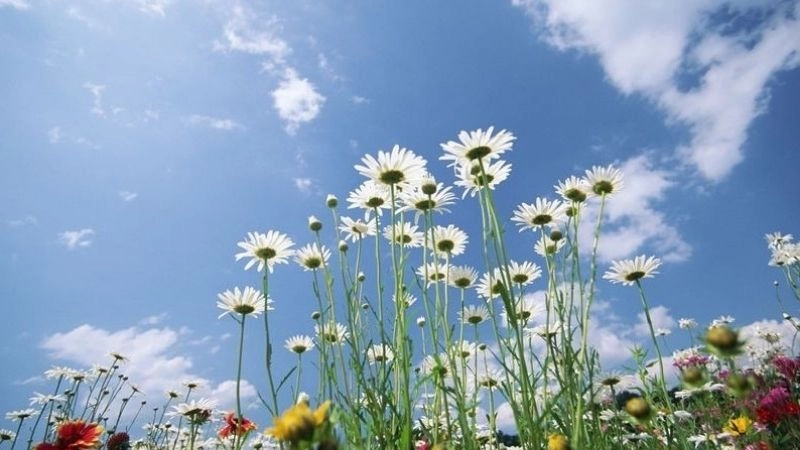 Sắc lam của bầu trời là minh chứng cho sự trong xanh hoàn hảo