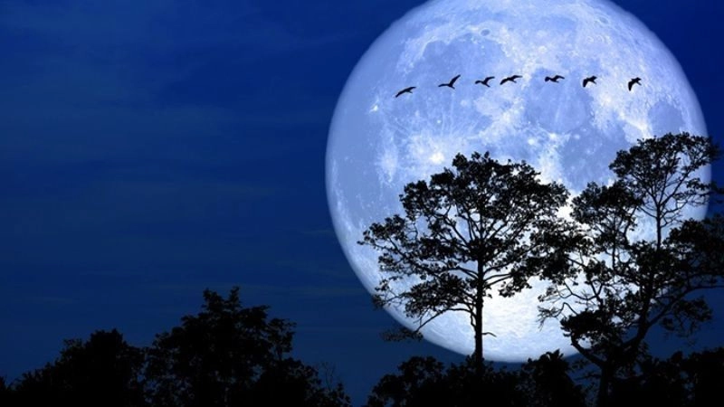 Vầng trăng là hình ảnh Mặt Trăng tỏa sáng trên bầu trời