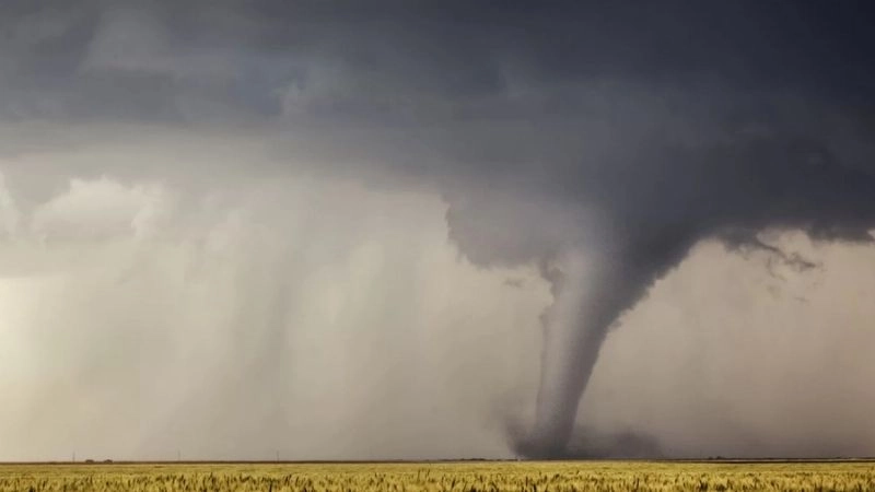 Tốc độ gió trong vòi rồng có thể tăng đột biến