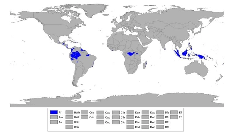 Nhiệt độ xích đạo luôn cao do bức xạ mặt trời trực tiếp