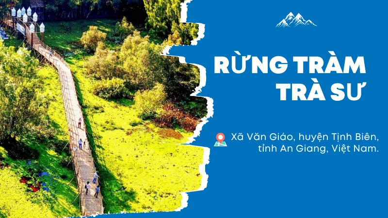 Rừng Tràm Trà Sư thiên đường sinh thái miền Tây