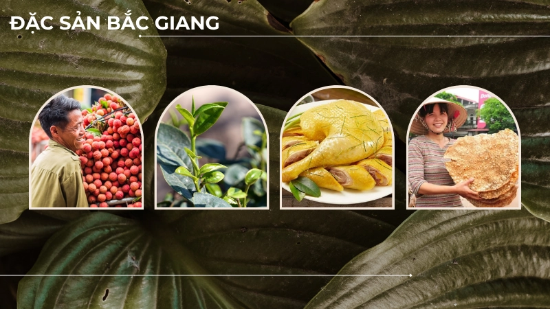 Ẩm thục tại Bắc Giang 