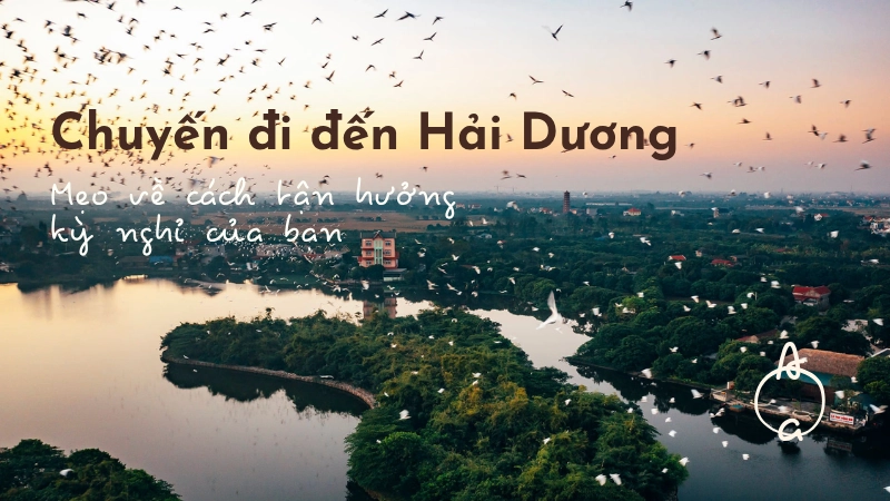 Khám phá vẻ đẹp độc đáo và cảnh sắc nên thơ của Hải Dương