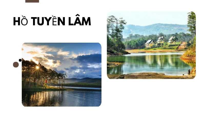 Đà Lạt mộng mơ giữa sương sớm và nắng vàng