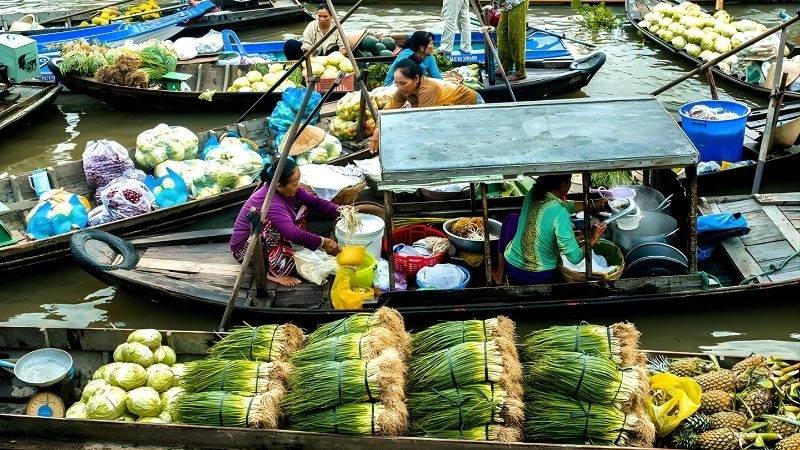 Thời điểm du lịch Vĩnh Long lý tưởng nhất