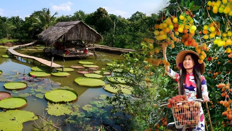 Lịch trình gợi ý 1 ngày khám phá Cồn Sơn đẹp lung linh