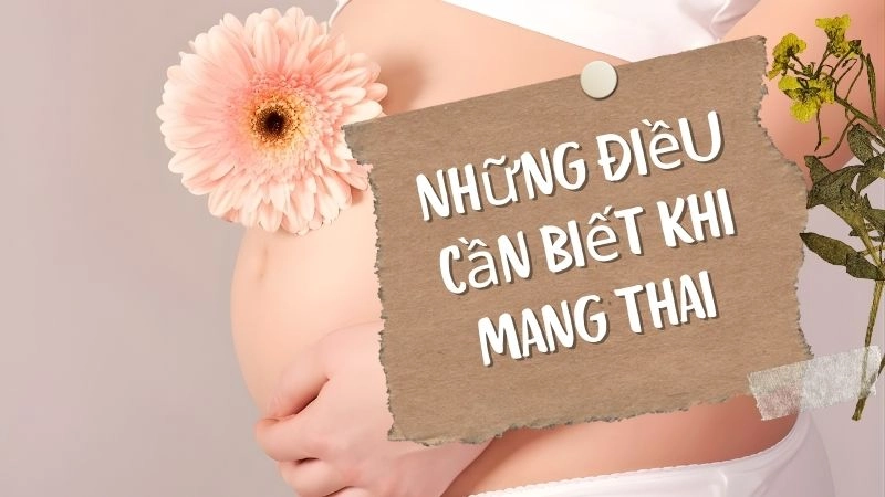 Dinh dưỡng thai kỳ – Ăn cho hai người nhưng không phải ăn gấp đôi 