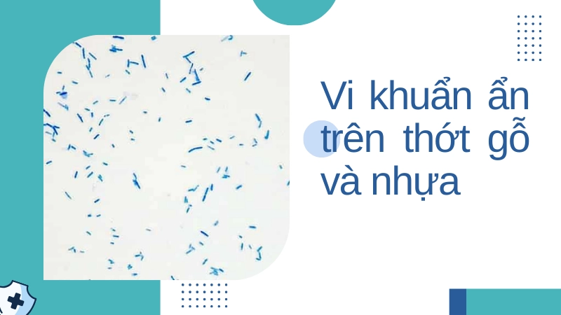 Soi kính hiển vi thấy thớt tưởng sạch nhưng đầy vi khuẩn gây hại