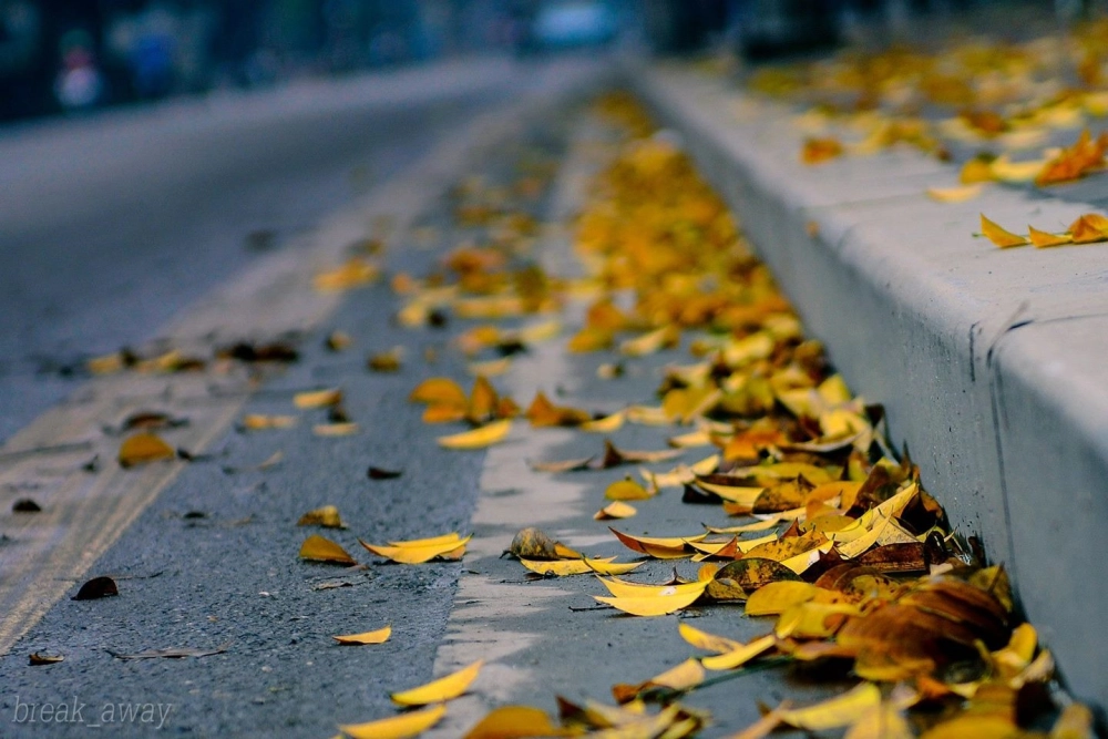 Tranh vẽ cảnh mùa thu mang nét đẹp thơ mộng và bình yên rất dễ đi vào lòng người.