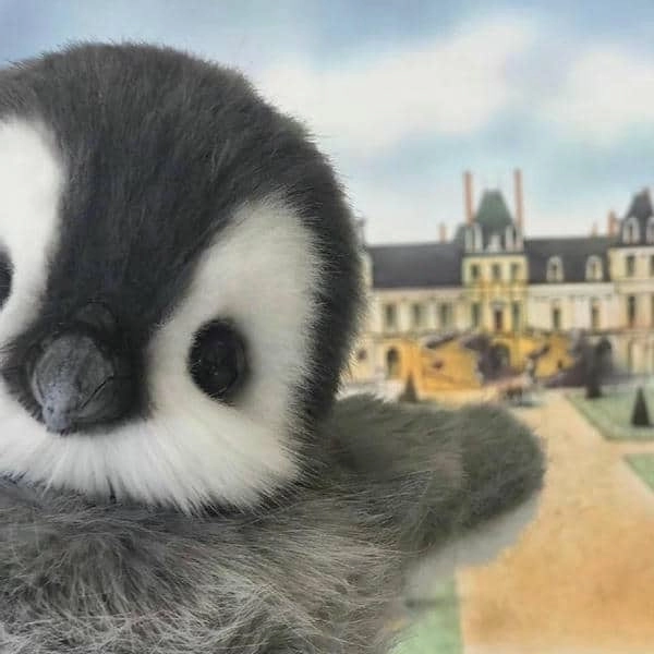 Penguin profile picture đơn giản, hợp dùng cho mạng xã hội.