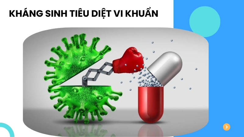 Công dụng của kháng sinh trong tiêu diệt vi khuẩn