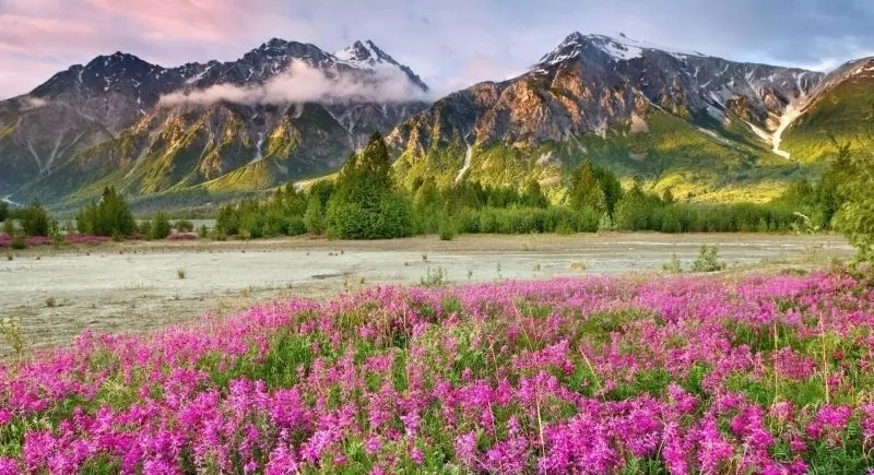 Hình nền phong cảnh núi non tạo điểm nhấn mạnh mẽ và thư giãn cho màn hình.