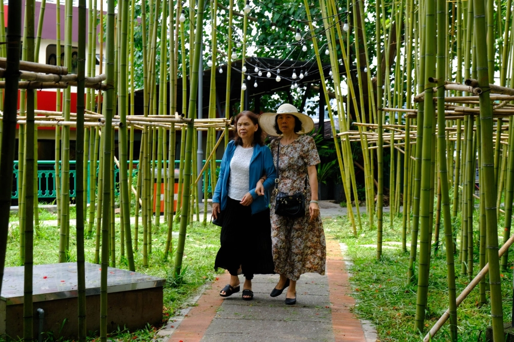 Phong cảnh rừng tre trúc xanh mát và yên bình.