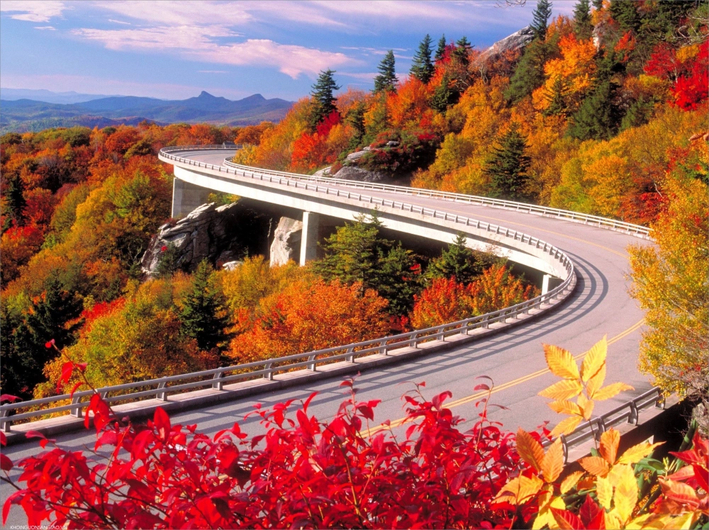 Tranh phong cảnh mùa thu đẹp mang vẻ lãng mạn với sắc vàng đỏ nhẹ nhàng và không gian yên bình.