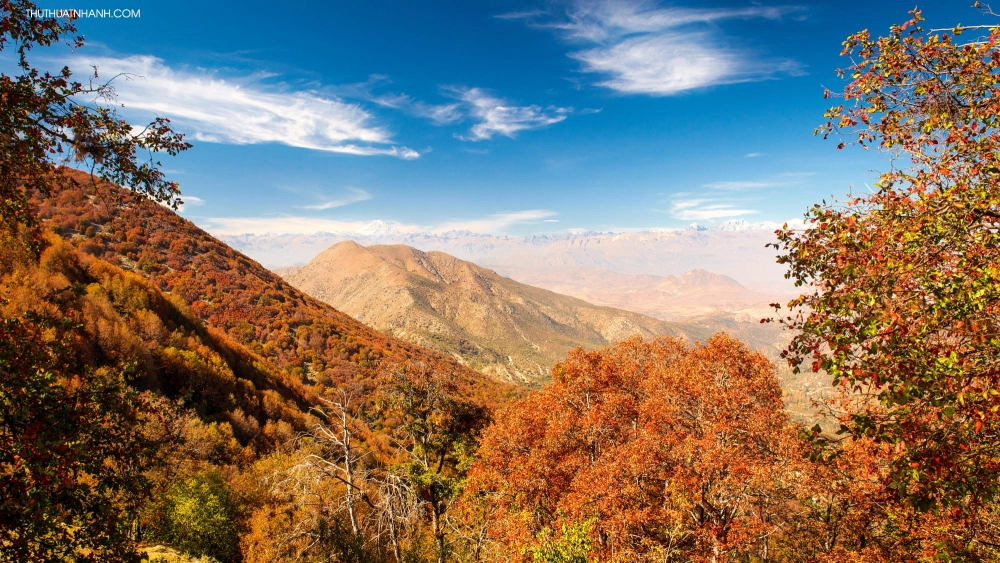 Tranh phong cảnh mùa thu bằng lá cây độc đáo với chất liệu tự nhiên và màu sắc ấn tượng.