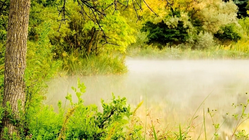 Tổng hợp ảnh phong cảnh đẹp chất lượng cao phục vụ in ấn và thiết kế.