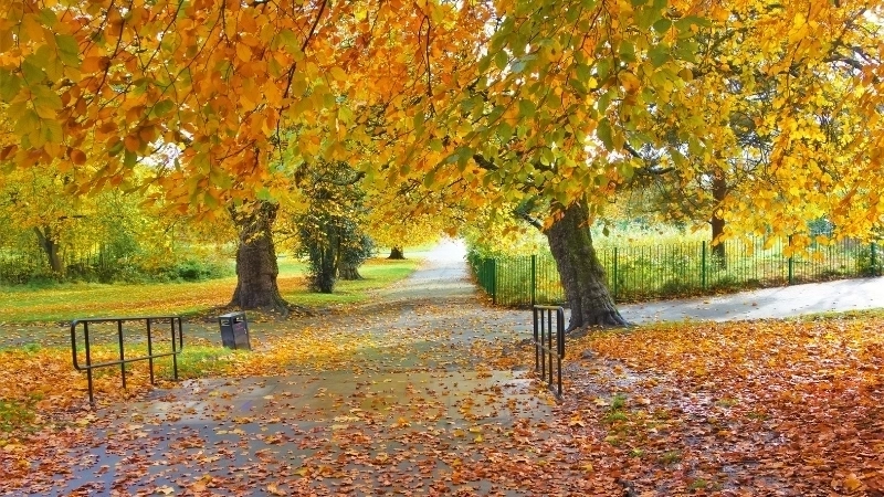 Mang hơi thở đất trời vào máy với hình nền thiên nhiên đẹp full hd.