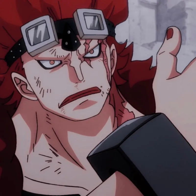 Sự ganh đua hài hước giữa hai đối thủ qua bộ ảnh Eustass Kid vs Luffy meme.