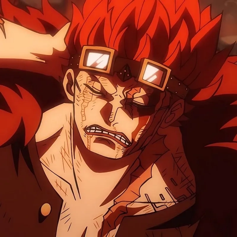 Lưu ngay bộ sưu tập Eustass Kid reaction meme để nhắn tin cực chất cùng bạn bè.