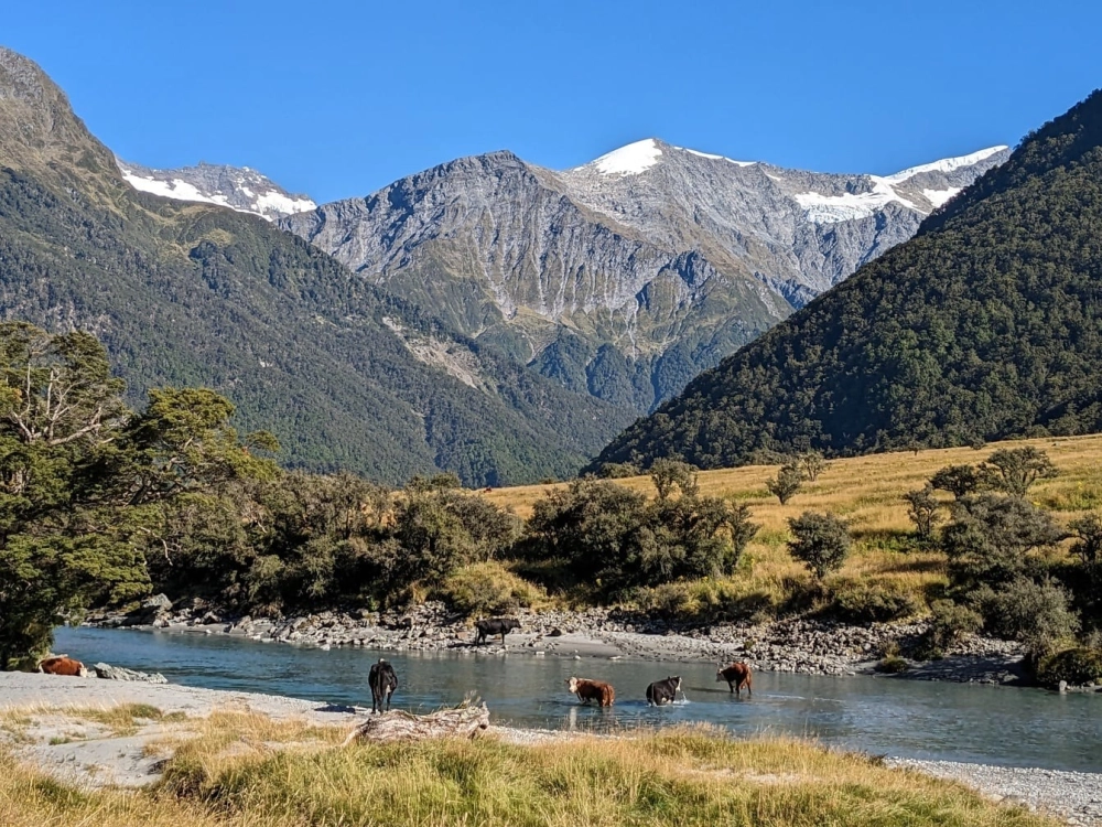 Vẻ đẹp mộc mạc và tĩnh mịch của cảnh núi đá hoang sơ chưa qua chạm khắc.