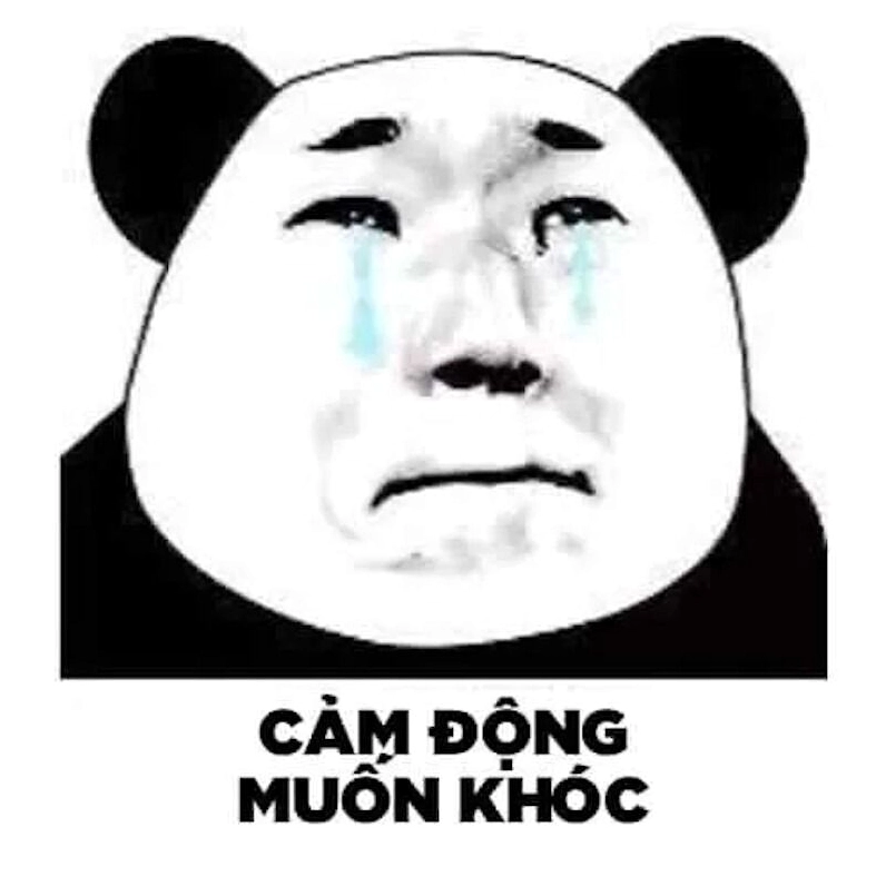 ảnh meme gấu trúc giận dỗi quay đi