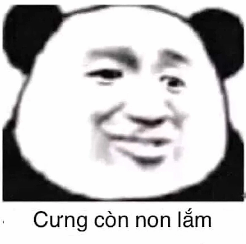ảnh meme gấu trúc hiện đại chắp tay lạy