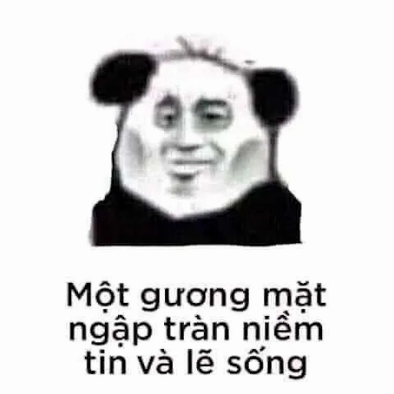ảnh meme gấu trúc hiện đại làm ảo thuật