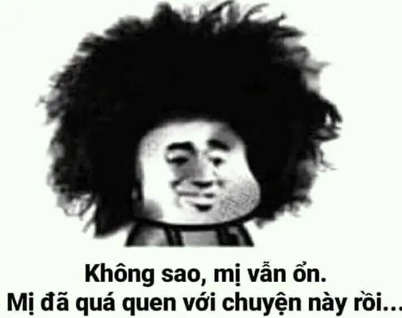 ảnh meme gấu trúc nằm ườn lười biếng