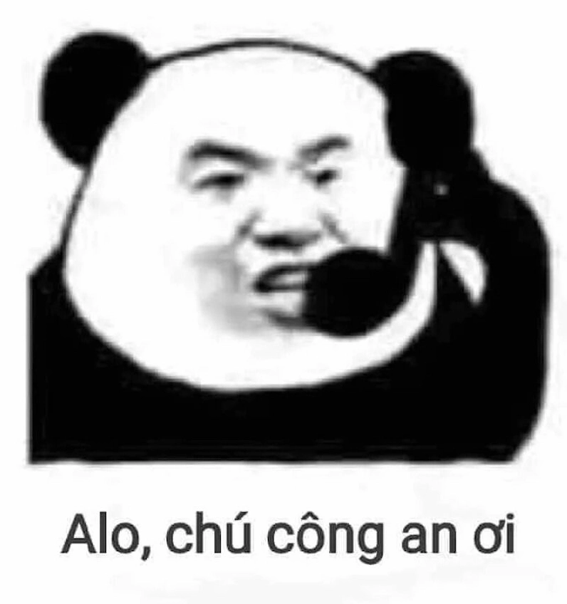 ảnh meme gấu trúc ôm đầu hoang mang