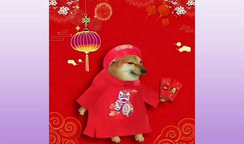 Ảnh meme Tết hình con chó cute đang lườm