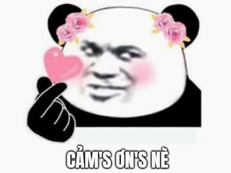 Bức ảnh meme gấu trúc thả tim cảm ơn rực rỡ