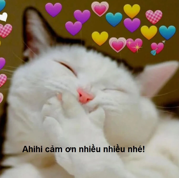 Bức ảnh xin cảm ơn meme đầy tính châm biếm