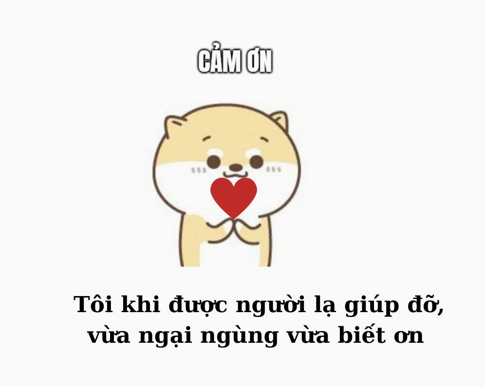 Meme cảm ơn khi được người lạ giúp đỡ nhiệt tình