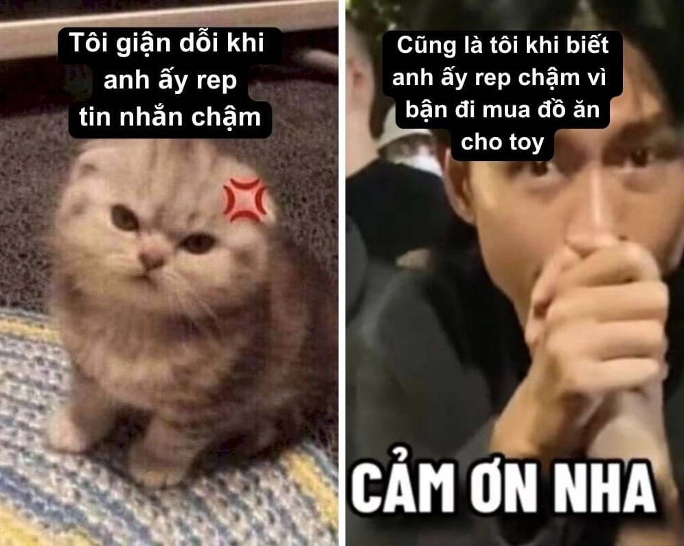 Meme cảm ơn nha mộc mạc giản dị