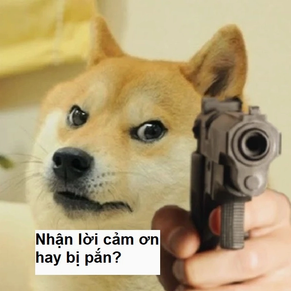 Meme chó cầm súng cảm ơn ép buộc