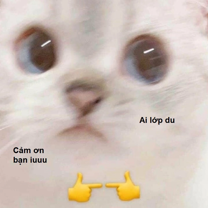Meme chú mèo cảm ơn cute phomaique ngập tràn