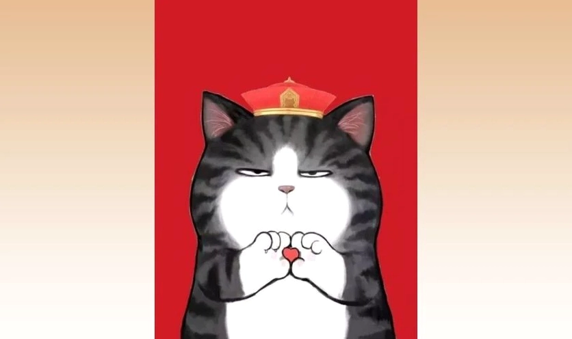 Meme mèo Tết bá đạo 2026 ánh mắt phán xét