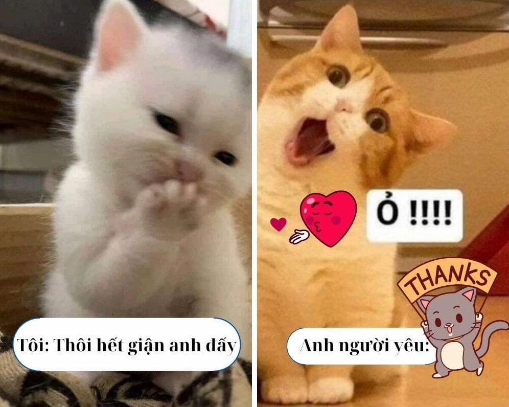 Thanks meme phong cách Tây phương cổ điển